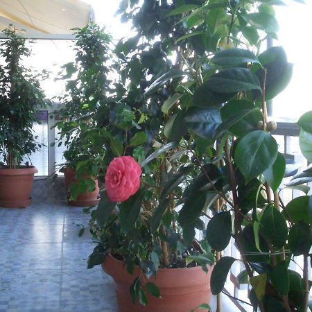 Athens Penthouse Cosy Apartment Esterno foto