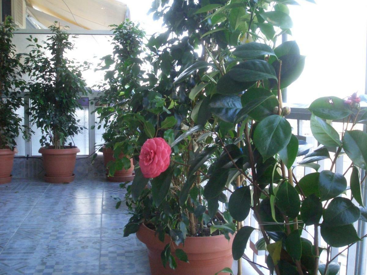 Athens Penthouse Cosy Apartment Esterno foto