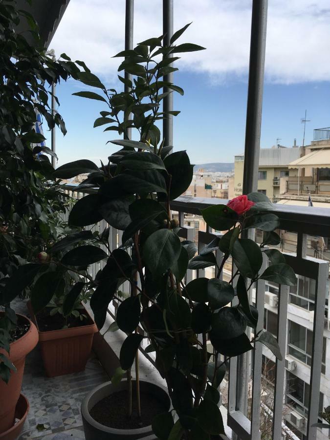 Athens Penthouse Cosy Apartment Esterno foto